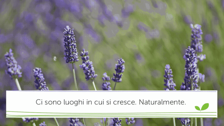SANA: speech di Enrico Giubertoni sulla Cosmesi Erboristica