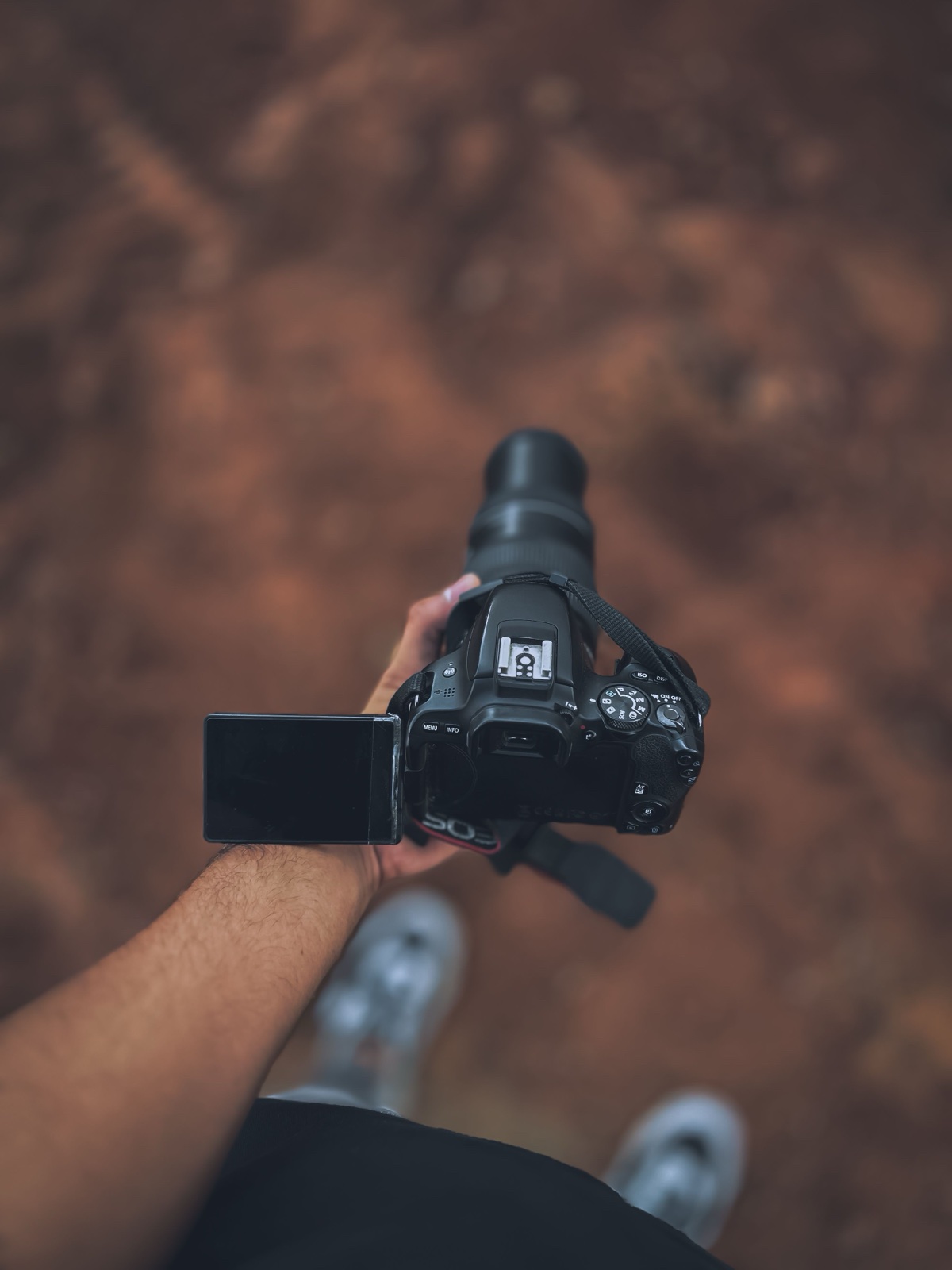 Una fotocamera reflex tenuta in mano e vista dall'alto: sul dorso si vedono lo schermo ripiegato e la ghiera dei modi di scatto.