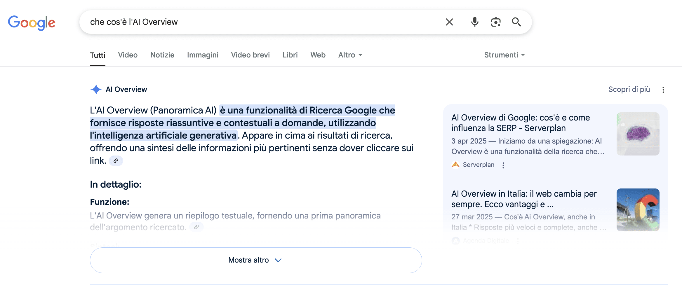Machine learning and artificial intelligence have been so widely adopted by users that Google introduced AI in the SERP: the AI Overview.