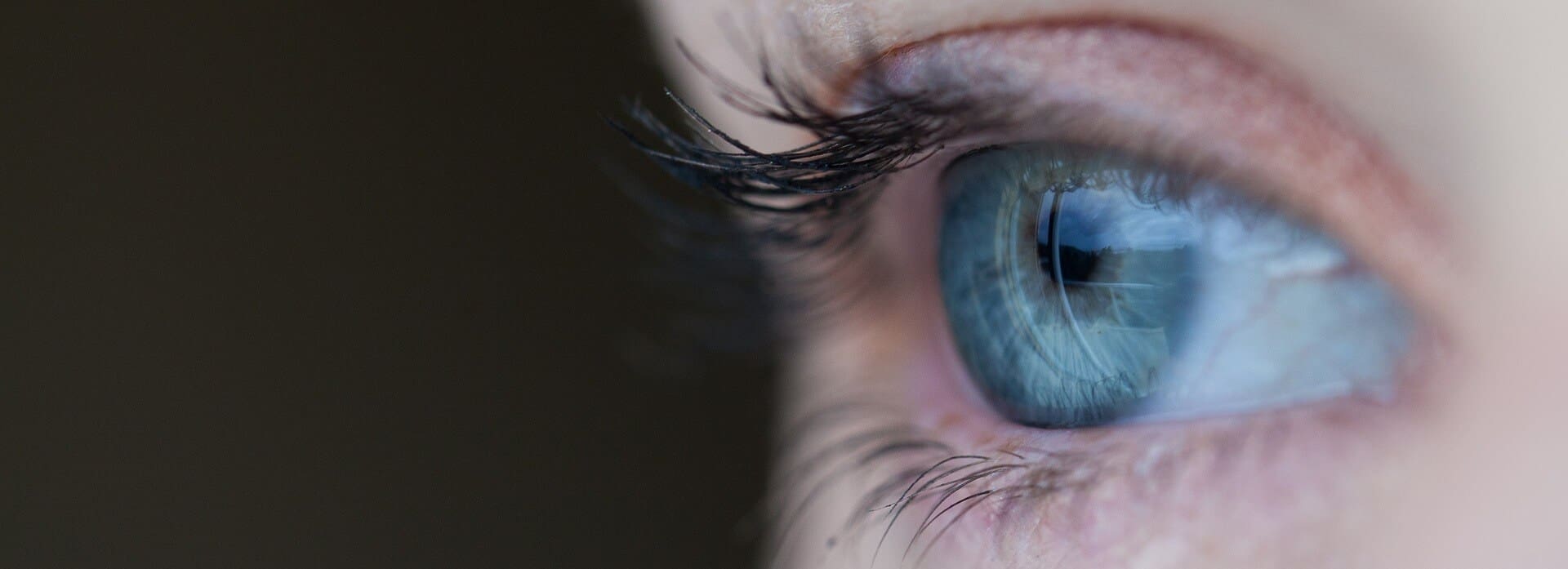 What are the metrics and KPIs to use for your cosmetic decisions?