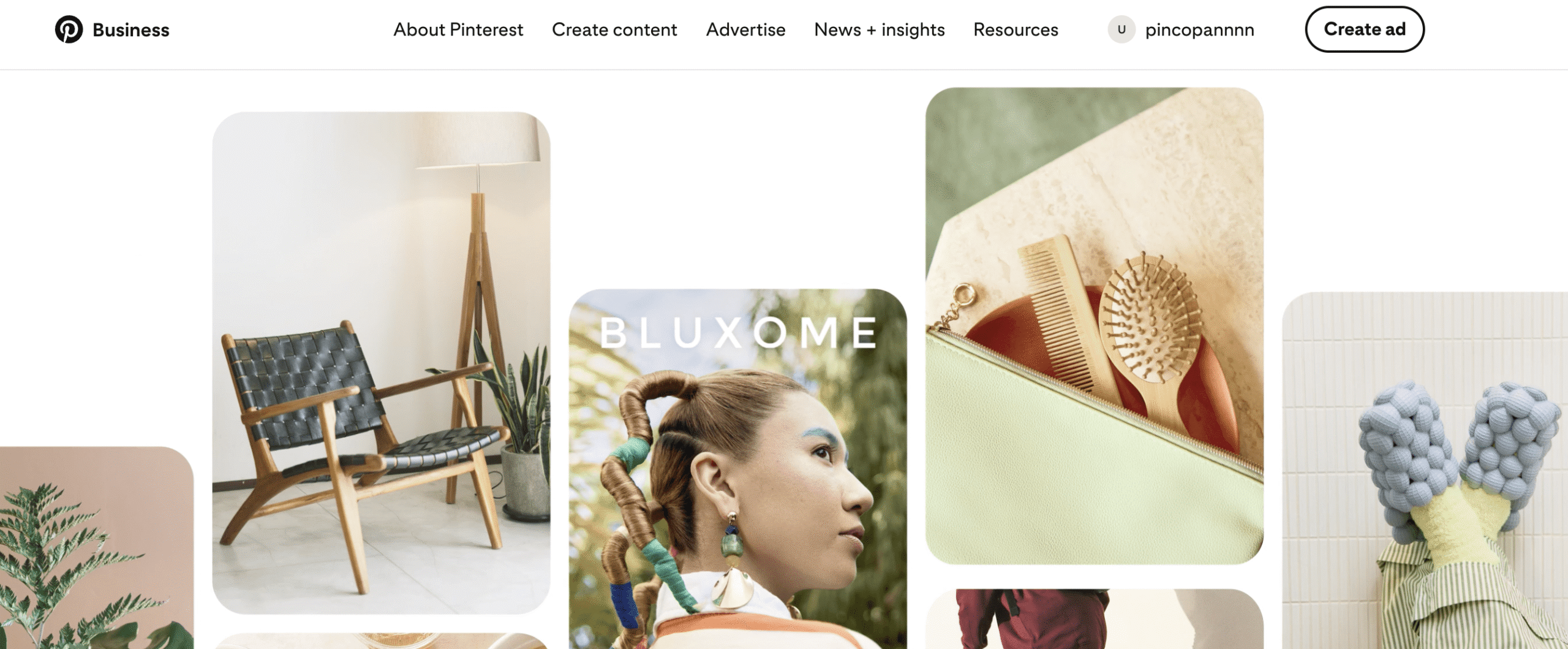 The Pinterest Business home page after the business account is created