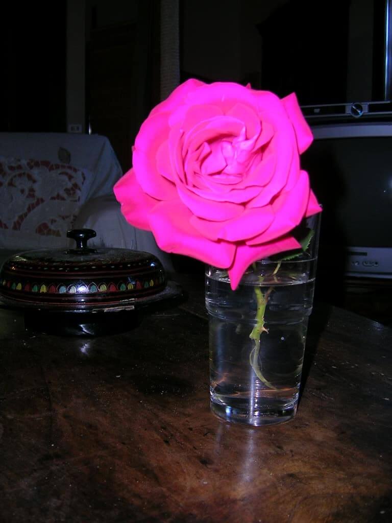 dscn0852