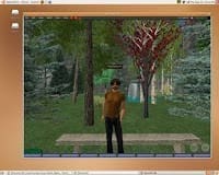 Second Life su Ubuntu con Gnome. Io uso KDE però