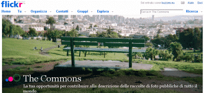 Flickr – The commons
