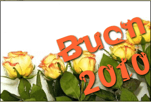 Buon 2010