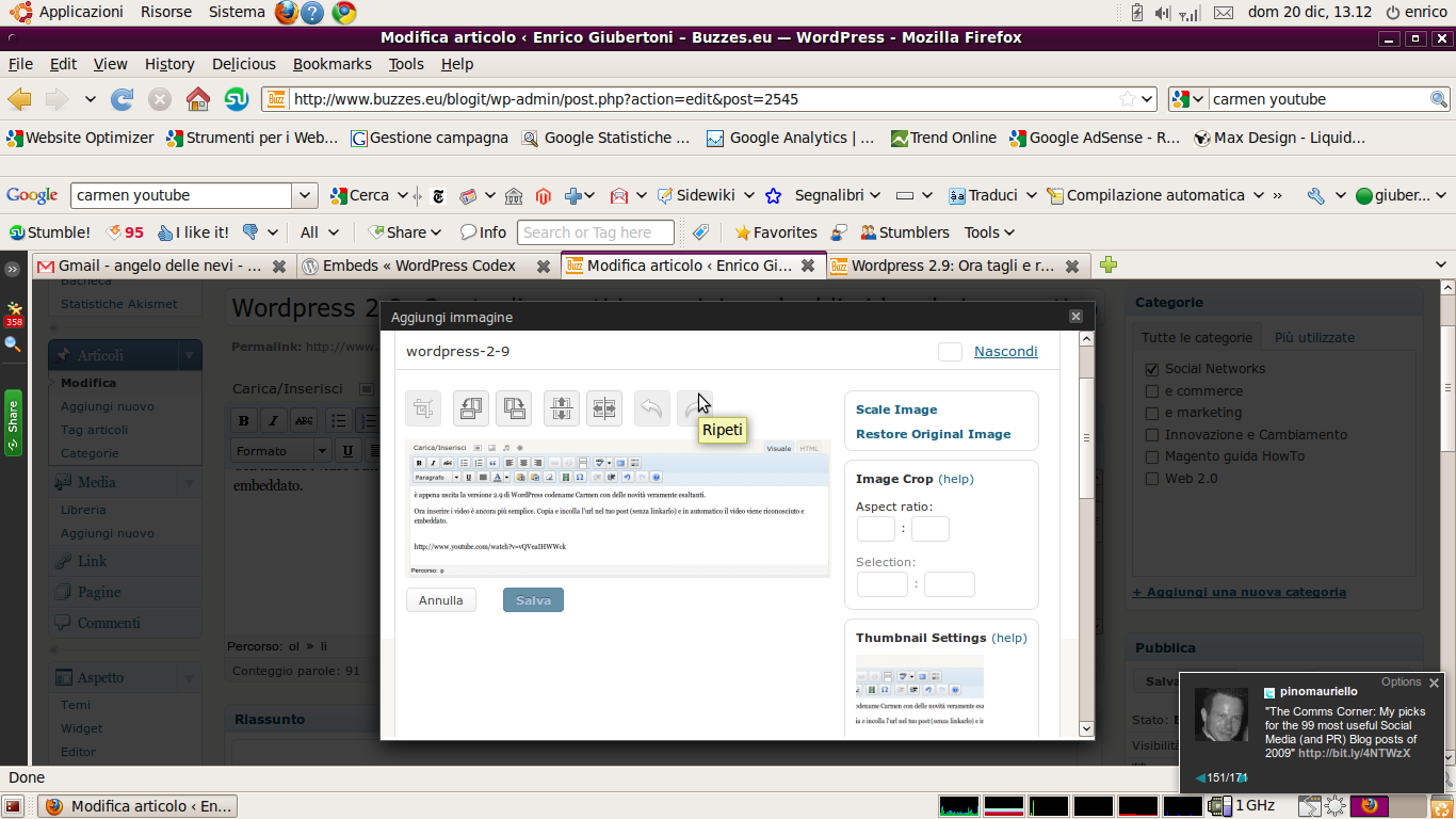 modifica immagine wordpress 2 9