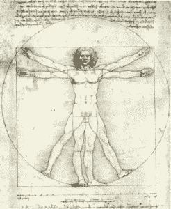 Studio della figura umana. Leonardo da Vinci
