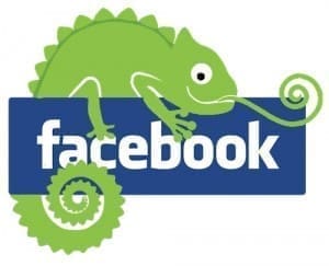 Vendi online dalla tua Facebook page con Blomming
