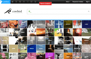 CowBird. Il social network tematico dello storytelling