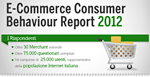 ecommerce italia infografica