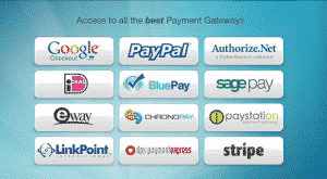 WP Ecommerce accetta i più efficaci sistemi di pagamento online