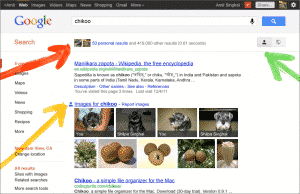 Google Ricerca personale e risultati. Come Google riconosce il frutto dal cagnolino Chickoo. Credits. Official Google Blog