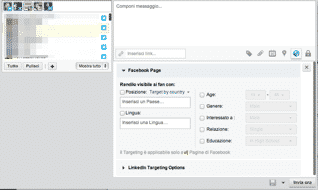 Hootsuite Pro: funzioni di geolocalizzazione e targeting