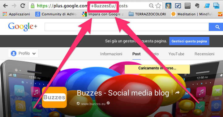 BuzzesEu Url Profilo Google Plus