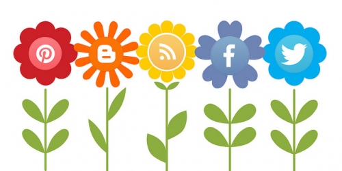 social media coaching