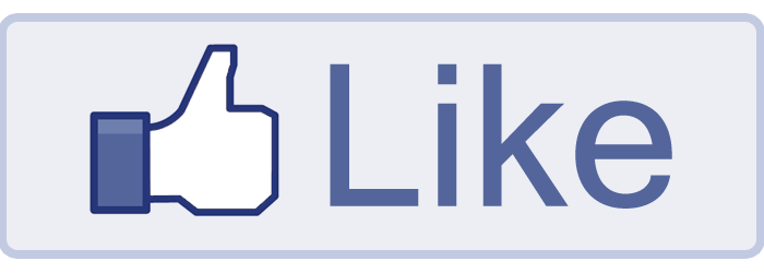 mi piace Facebook 750x250