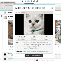 Hootsuite e Instagram: vista profilo utente