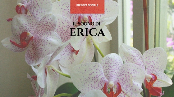 erica dream blog 3
