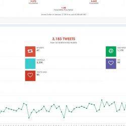 twitter overview