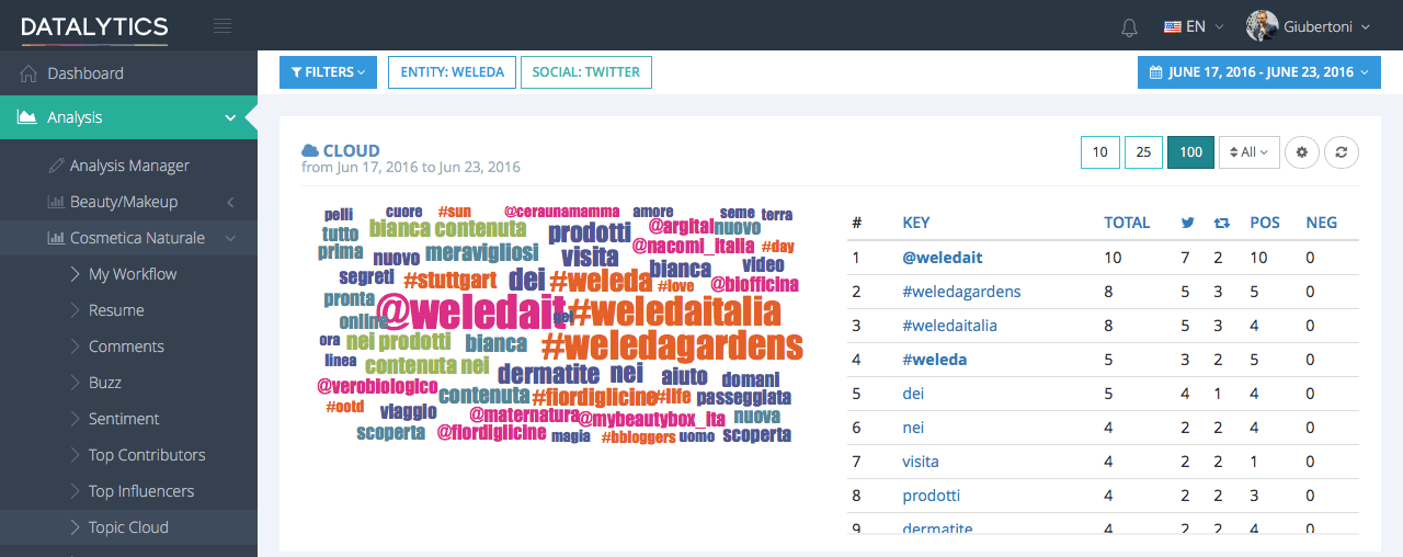 Topic Cloud: rapporto di Datalytics per individuare quali topics sono presenti nelle conversazioni di un brand
