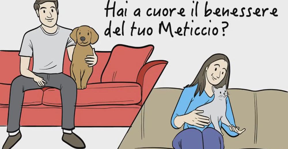 calcolatore
