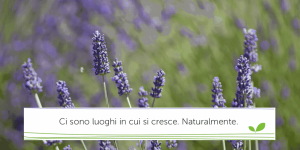 SANA: speech di Enrico Giubertoni sulla Cosmesi Erboristica