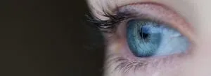 What are the metrics and KPIs to use for your cosmetic decisions?