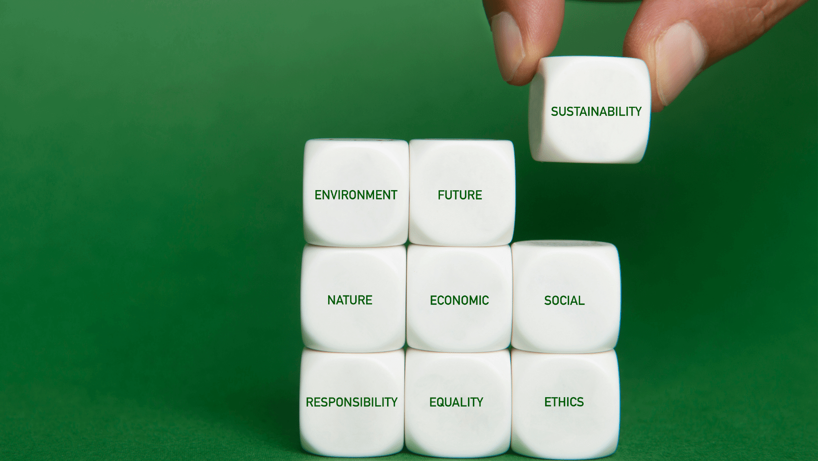 Green Marketing: domande frequenti per facilitare le decisioni strategiche