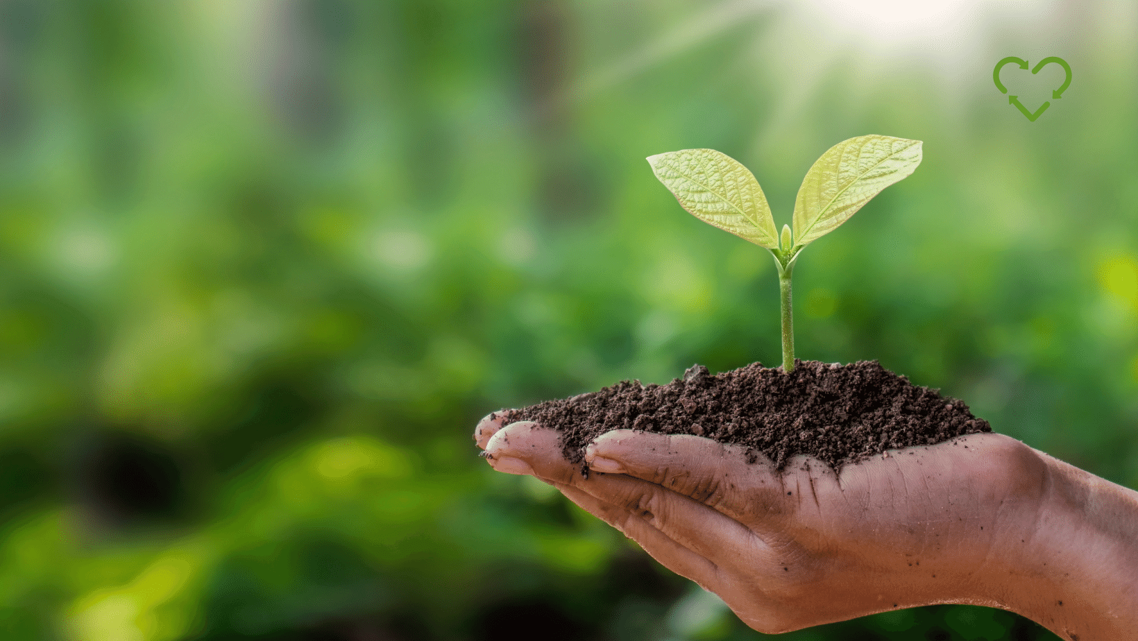 Sustainabiliy Marketing Fai: quando il Marketing diventa Green e Sostenibile.