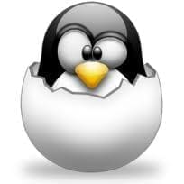 tux Storia di Linux: Tux il logo di linux